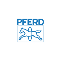 PFERD RUGGEBERG FRANCE