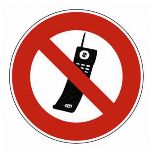 DISQUE DE SIGNALISATION 300 mm