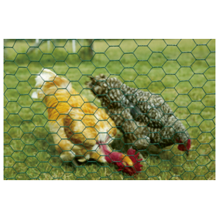 GRILLAGE TRIPLE TORSION PLASTIFIE VERT