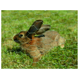 GRILL TT GALVA MAILLE  25 FIL 0.8 H 0.50 M ROUL 25ML