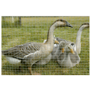 GRILLAGE SOUDE A MAILLE CARREE ARAVIS