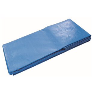 BACHE POLYETHYLENE 250 G/M2  6X8 M