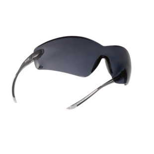 LUNETTE DE PROTECTION COBRA