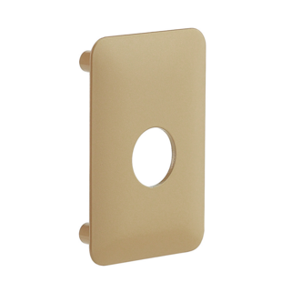 CONTRE PLAQUE POUR VERROU CORVETTE