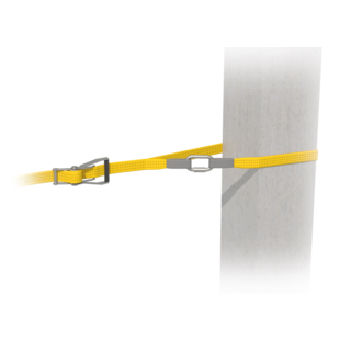 LIGNE VIE TEMPORAIRE