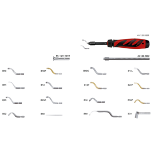 EBAVUREUR SHAVIV TYPE B