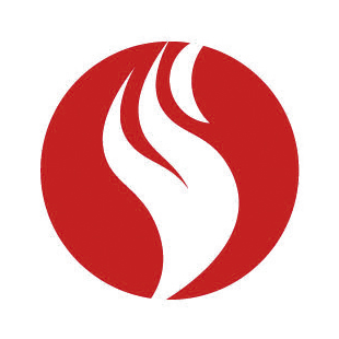 MOUSSE STP FOAM FIRE RESIST 2IN1 650ML BRUT