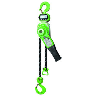 PALAN MANUEL A LEVIER PESEUR