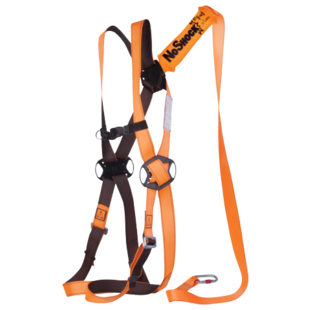 KIT ANTICHUTE ELARA160V2