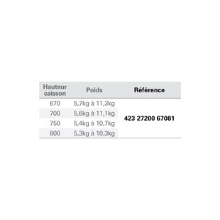 FERRURE DE PORTE RELEVABLE FREESWING