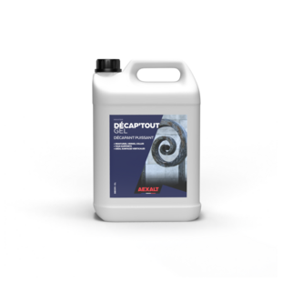 DECAP'TOUT GEL - DECAPANT PUISSANT