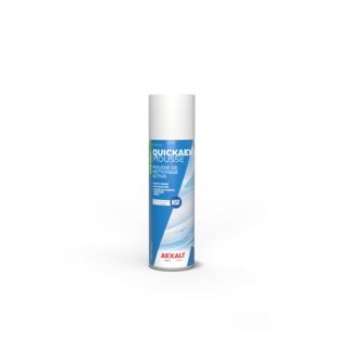 QUICKAEX MOUSSE - MOUSSE DE NETTOYAGE ACTIVE - 650 ML