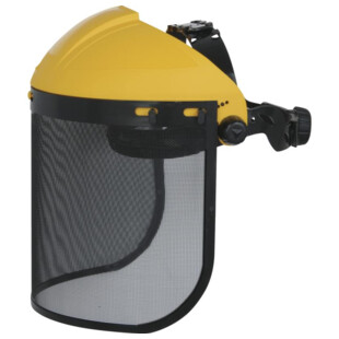 PORTE VISIERE AVEC VISIERE GRILLAGEE PICO2