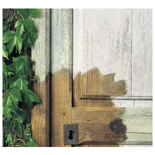 GEL DECAPANT DILUNETT