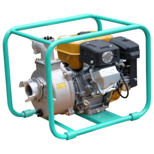 MOTOPOMPE  EAU CHARGEE ESSENCE TP 36 EX