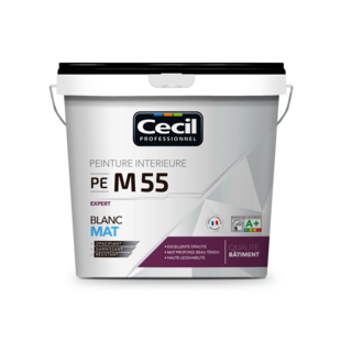 PEINTURE DE FINITION QUALITE PRO EXPERT 55