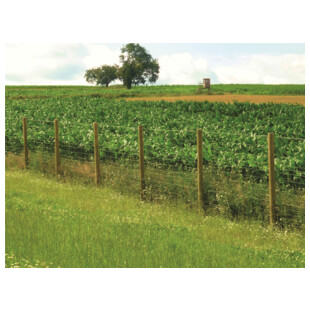 GRILLAGE NOUE SERIE LEGERE GALVA RICHE