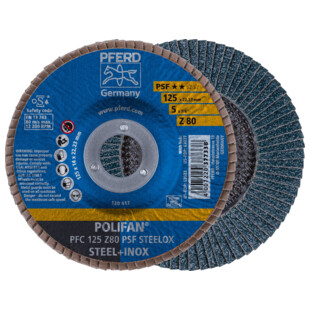 DISQUE A LAMELLES POLIFAN® PSF STEELOX