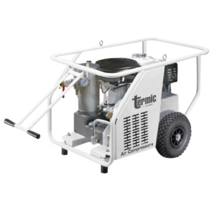 COMPRESSEUR THERMIQUE A VIS TERMIC VS