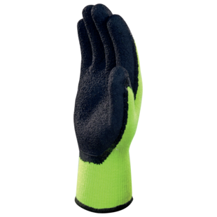 GANT APOLLON WINTER VV735