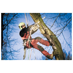 LUNETTE 5X8 IN/OUT INCOLORE ET SOLAIRE