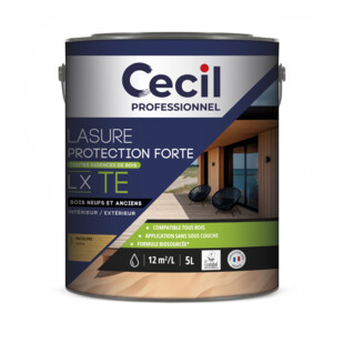 LASURE PROTECTION FORTE LX TE