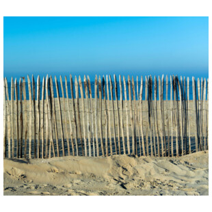 CLOTURE NATURELLE GANIVELLE