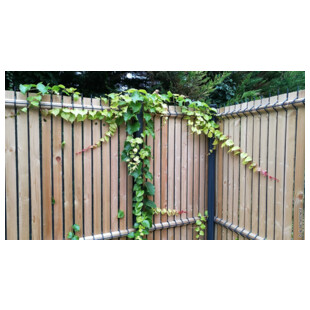 KIT D'OCCULTATION EN BOIS